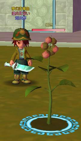 meisouki_546_Plant-02.JPG