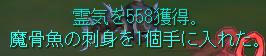 meisouki_620_Reiki558.JPG