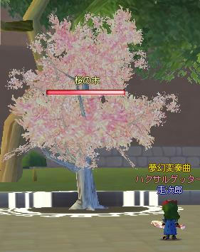 meisouki_896_SAKURA.JPG