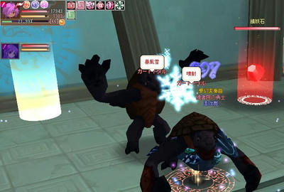 meisouki_905_GardDotal.JPG