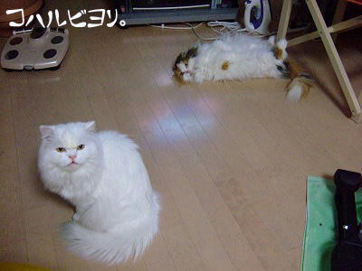 kb060112a.jpg