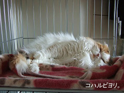 kh050424fs.jpg