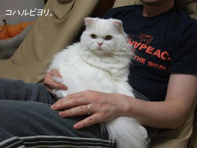 bk050522fs.jpg
