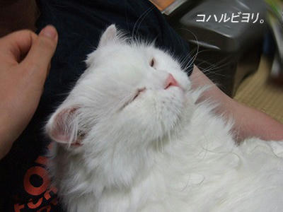 bk050522gs.jpg