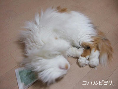 kh050518ms.jpg