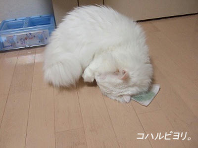 bk050518fs.jpg
