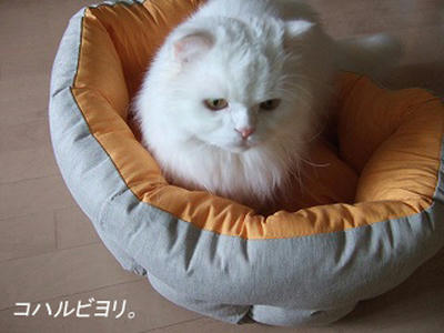 bk050512fs.jpg