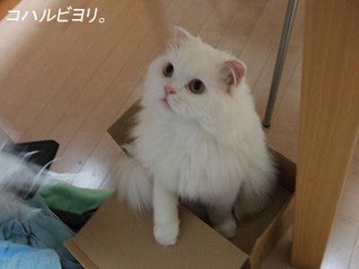 bk050416fs.jpg