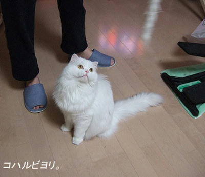 bk050321is.jpg