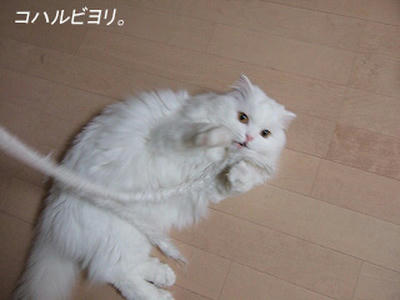 bk050322is.jpg