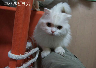 bk050322Ls.jpg