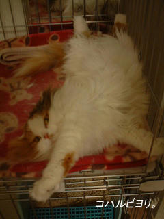 kh050307bs.jpg