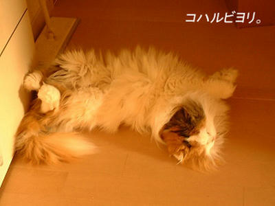 kh050309gs.jpg
