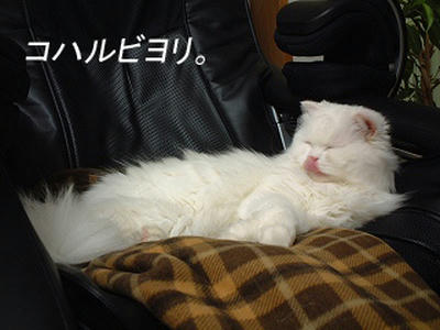 bk050202bs.jpg