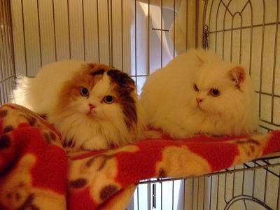 DSCF2088.jpg
