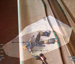 f1875b1a.JPG