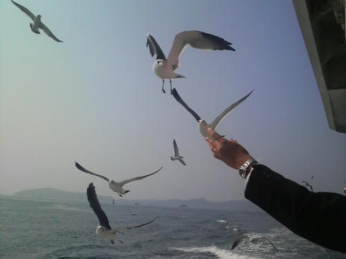 2008101810250001-1.jpg