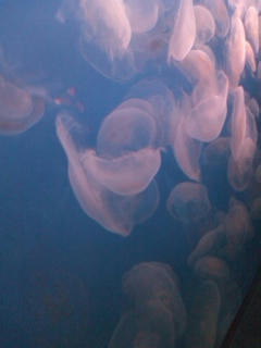 120716_1231~02.jpg