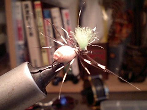 PA0_0017.JPG