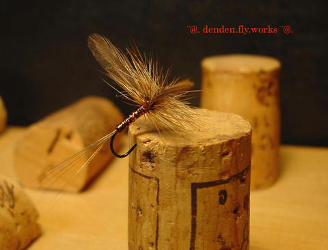 body_fly01.jpg
