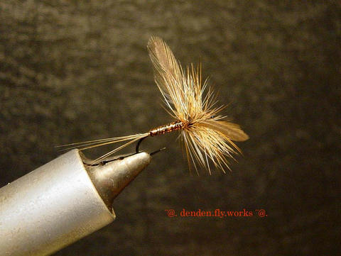 body_fly02.jpg