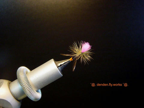 860b46c7.jpg