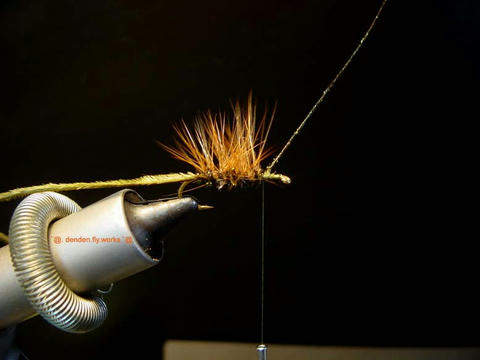 514b9a90.jpg