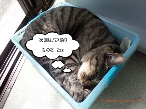 hono03.jpg