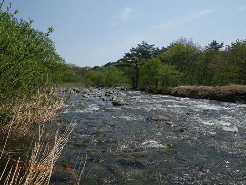 hono08.jpg