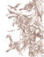FF12RW　－竜を率いる翼（下書き）－