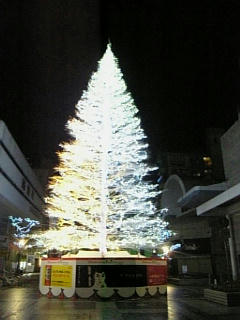 07123101.jpg