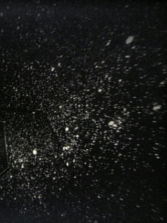 08012602.jpg