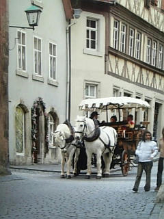 ger022611.jpg