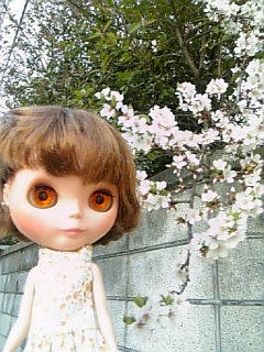 080331.jpg