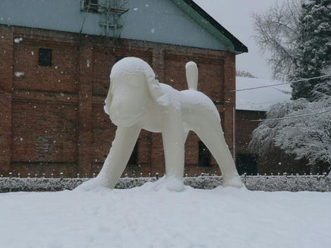 P1000805_640.jpg