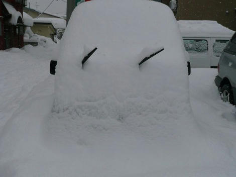 社用車