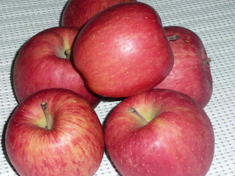 P1010038_640.jpg