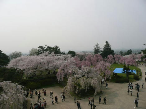 P1010112_640.jpg