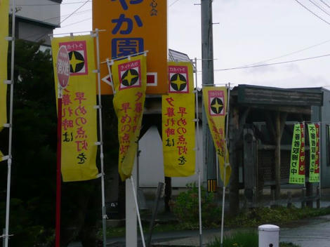 はた