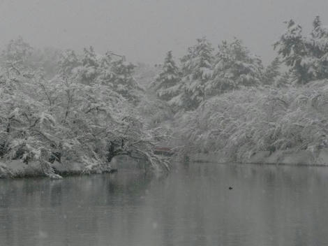 P1030568_640.jpg