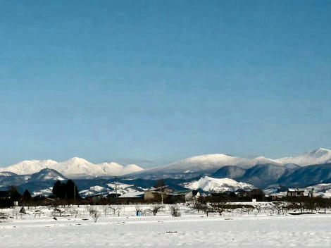 P1030849_640.jpg