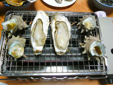 P10801621_640.jpg