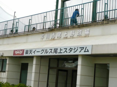 軟式
