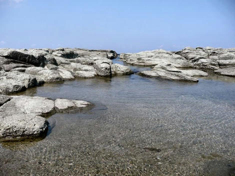 P1110412_640.jpg