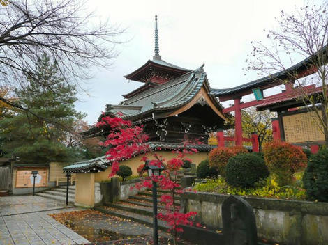 koto
