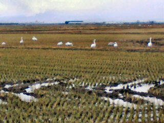 20101207113442.jpg