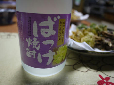 P1010264_800.jpg