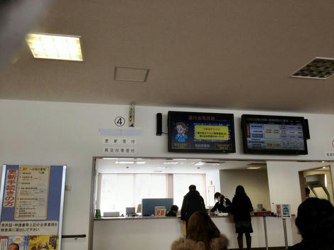 IMG_1274_1024.jpg