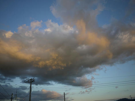 P1110003_1280.jpg