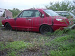 DSC07474.JPG